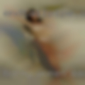 Horny women Maxton
